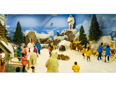 Dream world (All Rides & entrance fee + Lunch) except snow town , gocart. 